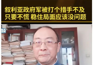 就因为叙利亚，金灿荣沈逸都被打脸了
