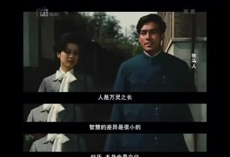 时代新词语再加一枚：“张某收留”