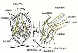 为什么肛肠科外的椅子中间都有个洞？
