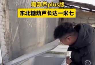 东北“一米长糖葫芦” 成最滑稽网红小吃