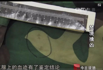 弟弟被杀托梦给姐姐，警方根据梦境挖出尸体破案