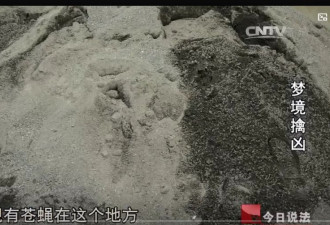 弟弟被杀托梦给姐姐，警方根据梦境挖出尸体破案