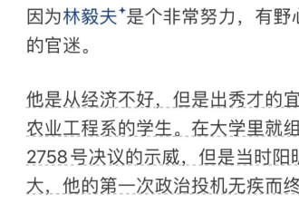 网友们扒出林毅夫的投机历史了