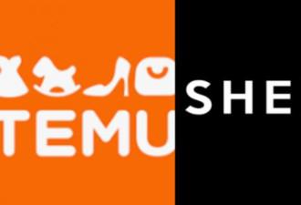 Temu、SHEIN双双被越南政府叫停
