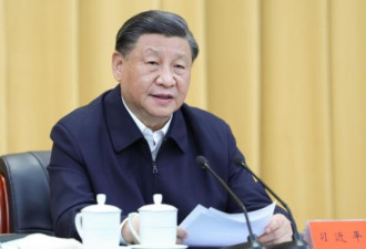 习在京召开御前吹风会议
