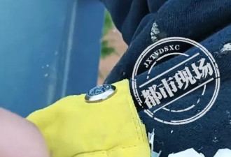 河南一学校学生旧冬季校服里,填充的是碎布垃圾?