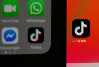 TikTok聘特朗普首任期白宫律师，向美最高法院上诉