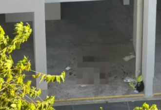 新加坡突发命案!中国小伙在店里7刀砍死一女职员