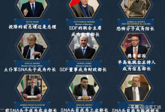 反对派领袖宣告赦免20万叙政府军 大师级布局
