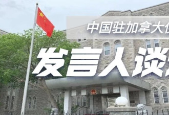 驻加拿大使馆发言人发表谈话