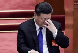 走回14年前老路 习这是引鸩止渴