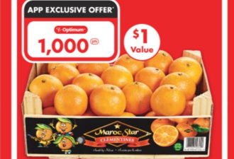 多伦多超市特价:羊腿$4.99!鸡蛋$3.93!龙虾尾$2.99!柿子$4.88/箱