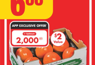 多伦多超市特价:羊腿$4.99!鸡蛋$3.93!龙虾尾$2.99!柿子$4.88/箱