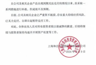 上海资本大佬 骗了1000亿跑路 被抓捕回国