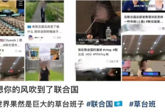 花200块当一天精英？网红正在占领联合国
