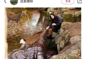 只有更离谱！中国女游客竟干这事 还炫耀…