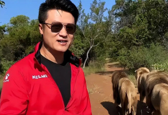 非洲“土皇帝”王垚：生活奢靡美女环绕，把非洲狮子当成宠物喂养
