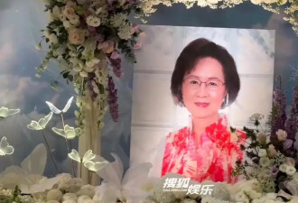 琼瑶葬礼这天，平鑫涛子女的公司发了一张图片搞内涵，引全网愤怒