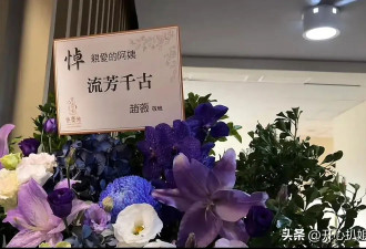 琼瑶葬礼这天，平鑫涛子女的公司发了一张图片搞内涵，引全网愤怒