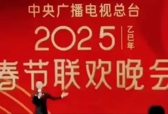 2025年春晚嘉宾名单流出！多位大咖坐镇，小沈阳、刀郎太意外