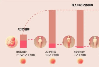 人类预期寿命将止于87岁？