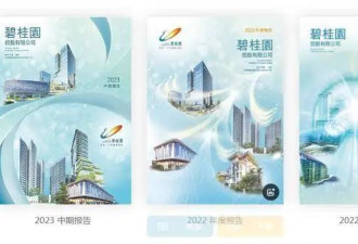 碧桂园董事长杨惠妍被监管,开发商能熬过这冬吗