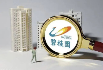 碧桂园董事长杨惠妍被监管,开发商能熬过这冬吗