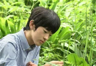 日本王室独苗被保送名牌大学 考试仅得20分惹议