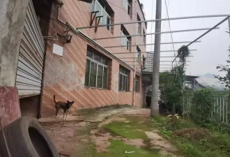 《我是刑警》火出圈 周克华被击毙处弹孔仍在