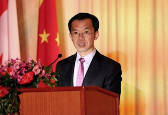 著名“战狼”卢沙野卸任 批西方"从上往下俯视别人"
