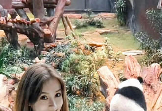 35岁杨颖又被偶遇，换回港妆后美回巅峰，混血感满满娇俏又可爱！