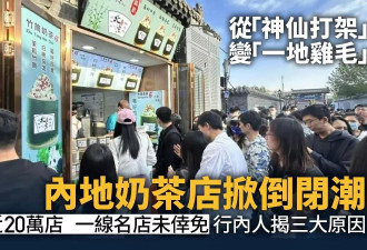 20万家中国奶茶店关门大吉