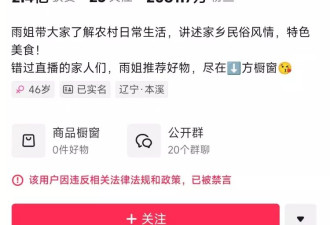 盘点光速掉粉的网红：有人掉粉千万，有人一夜归零