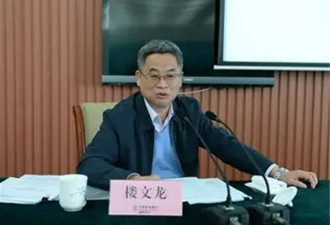中国农业银行原副行长楼文龙被捕