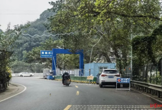 单身汉被醉驾者撞死 表兄姐称扶养50年 索赔98万败诉