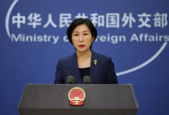 美要查中国大蒜 中外交部：大蒜做梦也没想到...