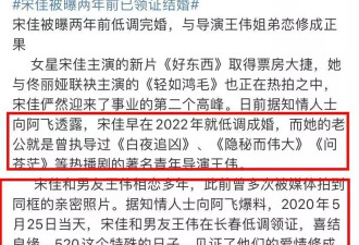 网曝宋佳2年前已和《白夜追凶》导演王伟领证，年龄差8岁