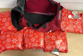 圣诞礼物包里装10公斤冰毒，29岁女子刚下飞机就被捕