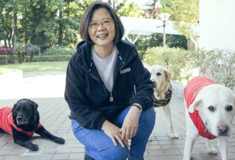 蔡英文阳明山豪宅遭检举违建？ 蔡办曝真相
