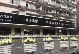河北、山东的这两则新闻,让人看到民众生存的不易