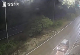 华裔女子被谋杀碎尸、抛入丛林！丈夫下落不明…