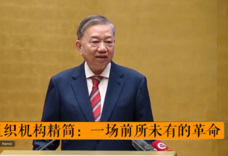 真没想到 越南改革的力度这么大!前所未有的革命