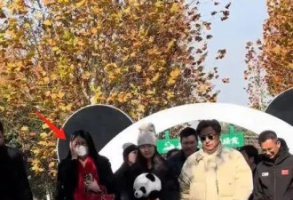 李湘王岳伦回老家看房阵仗大，对女销售态度冷淡