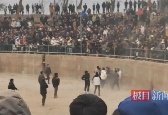 斗牛比赛现场多人大打出手 当地：第一时间终止了活动