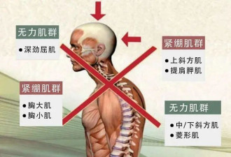 按摩那么爽，但劝你别太上头