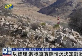 以军继续在缓冲区行动，叙反对派领导人发声