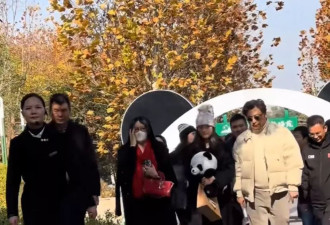 李湘全家逛熊猫苑，王诗龄挽着父亲走在后面