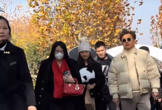 李湘全家逛熊猫苑，王诗龄挽着父亲走在后面