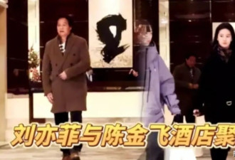又跟干爹见面了，刘亦菲的人生，有陈金飞....