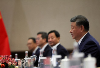 习近平新号召：“刀刃向内”消灭腐败